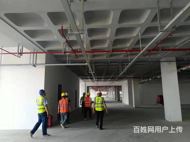 電子工程 連接現實與未來的科技紐帶